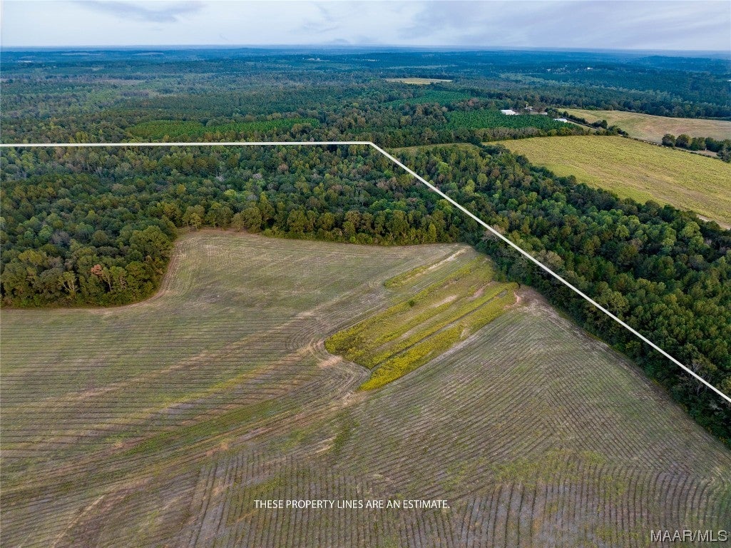 337 County Road 337 Brantley, AL 36009 - Photo 3 of 36 Gallery Image 3