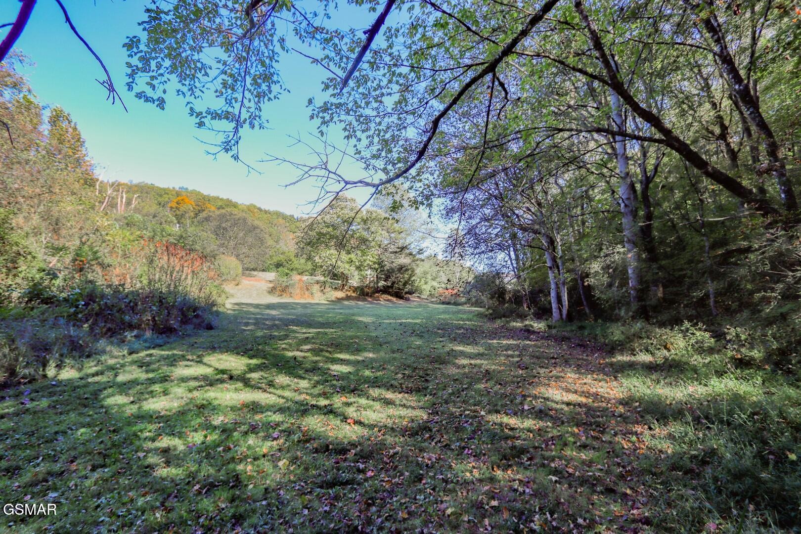 2409 Perilla Road Cosby, TN 37722 - Photo 37 of 50 Gallery Image 37