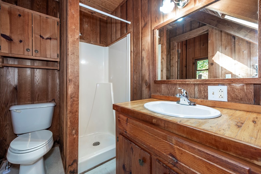 168 Burnt Mountain Cove Road Jasper, GA 30143 - Photo 37 of 53 a bathroom with a sink a toilet and shower