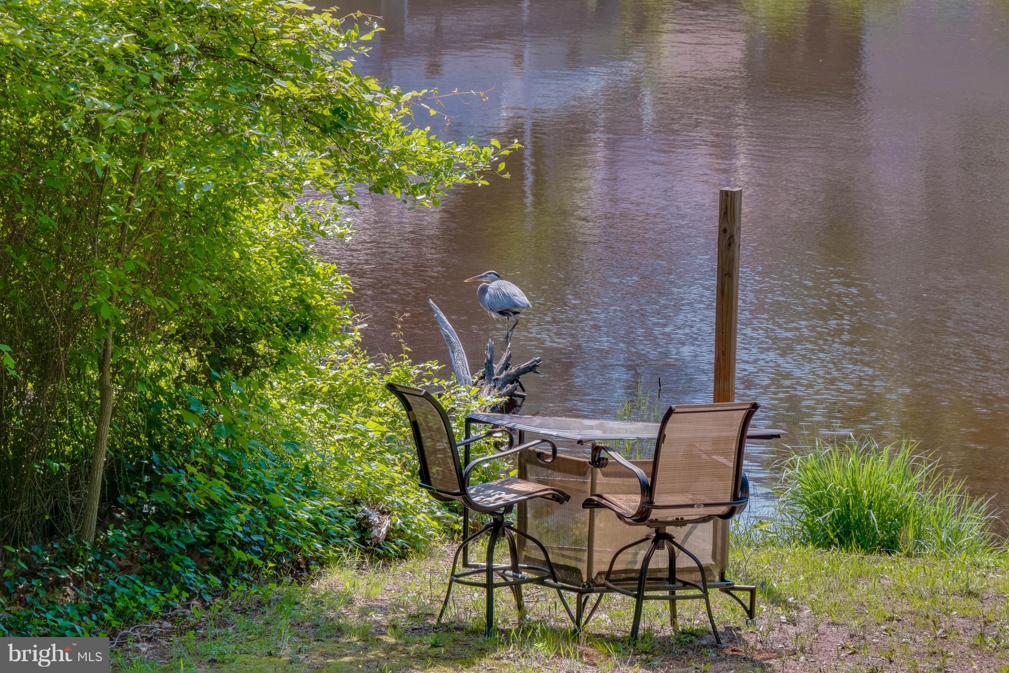 801 Swift Road Pasadena, MD 21122 - Photo 1 of 30 Wonderful Nature Views Around the Clock