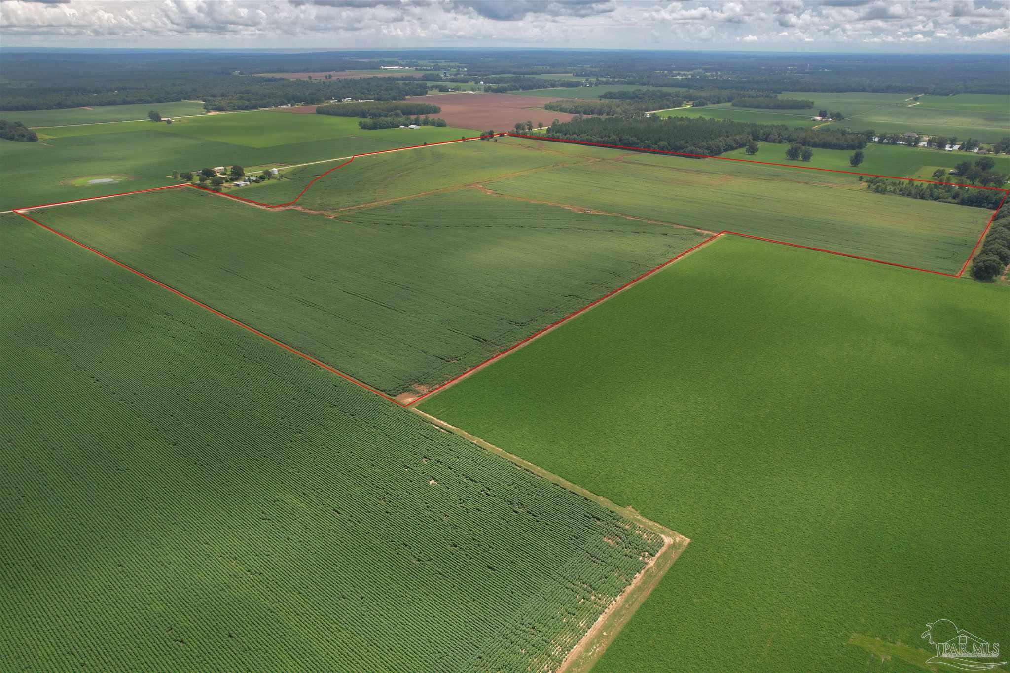 7500 Morton Road Century, FL 32535 - Photo 11 of 26