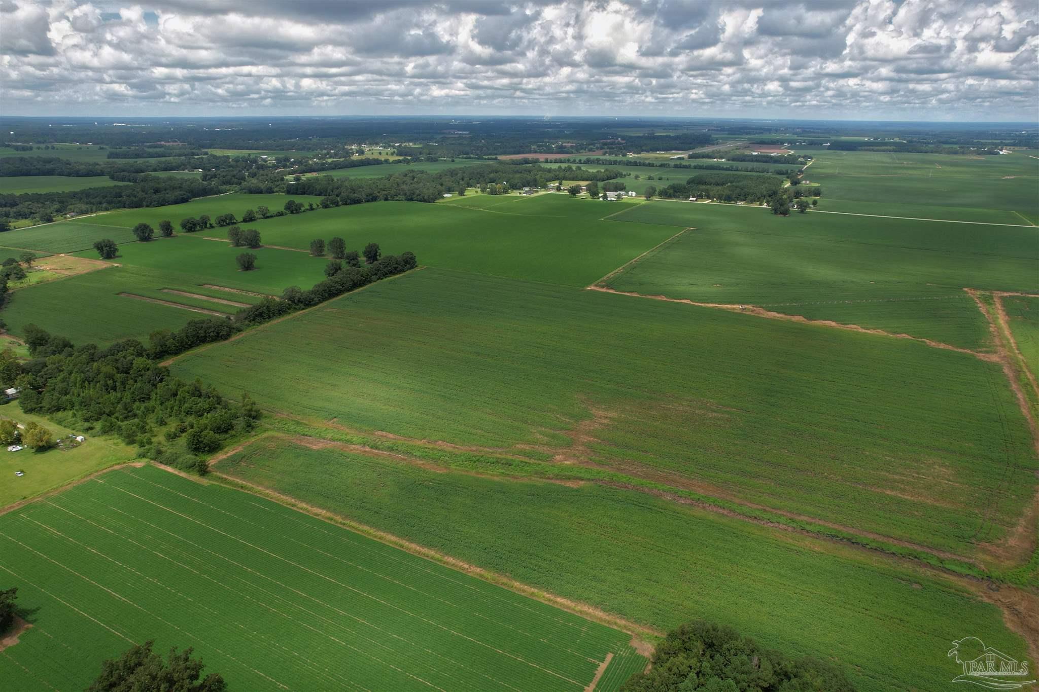 7500 Morton Road Century, FL 32535 - Photo 20 of 26