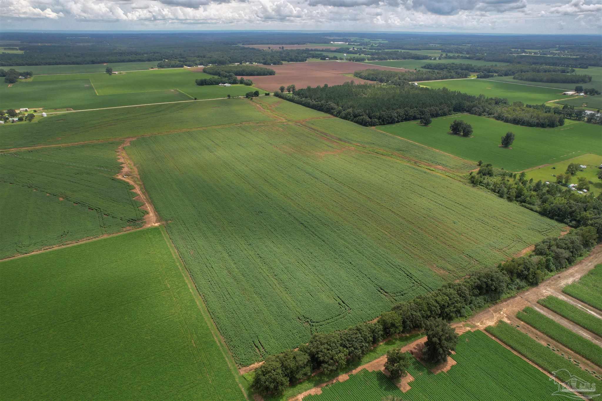 7500 Morton Road Century, FL 32535 - Photo 21 of 26