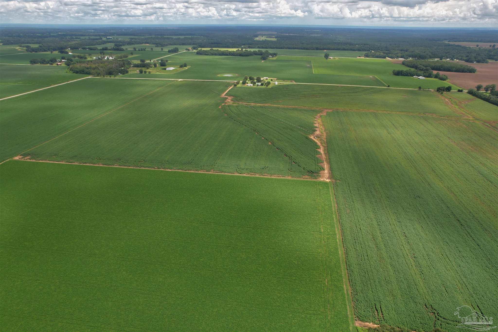 7500 Morton Road Century, FL 32535 - Photo 22 of 26