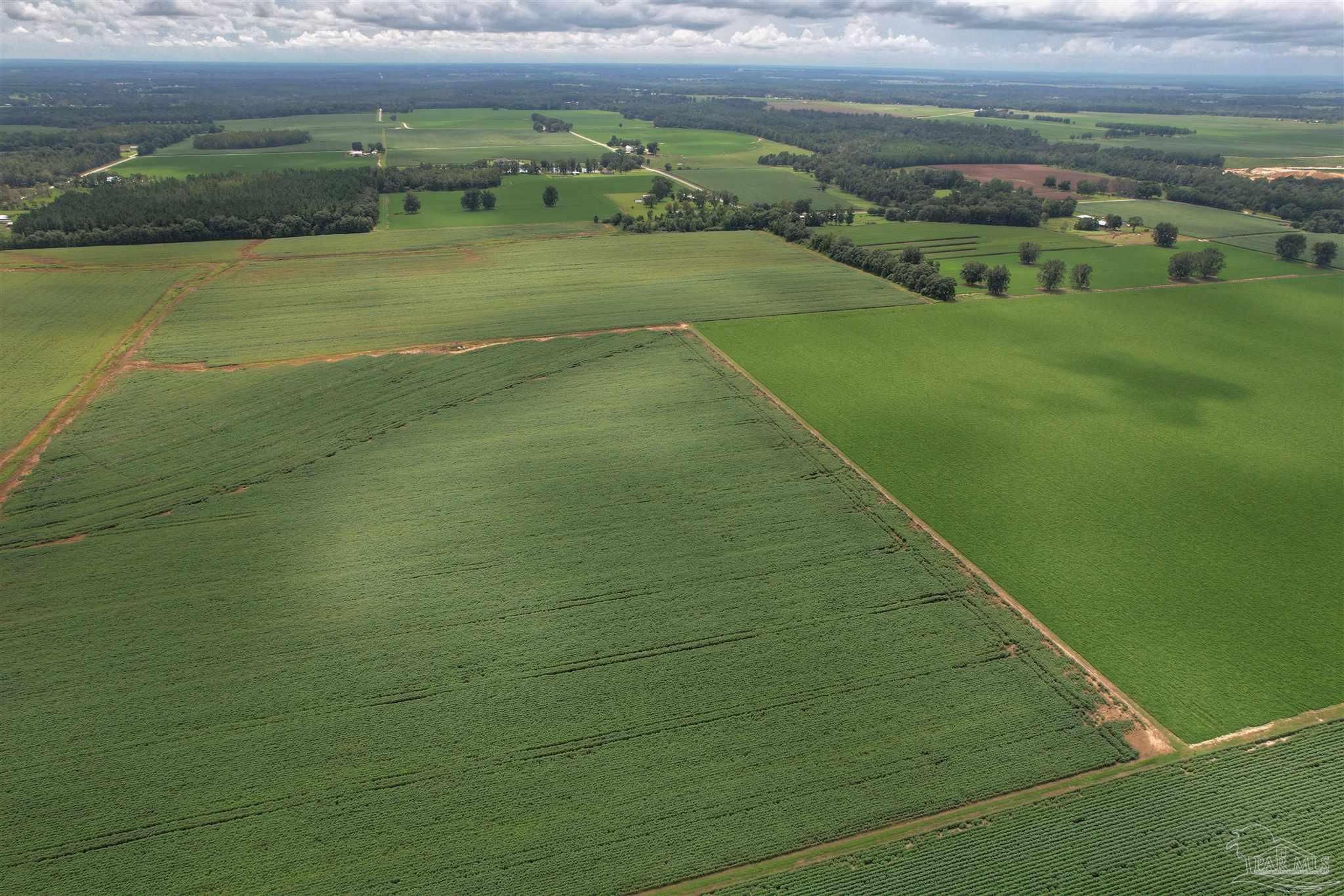 7500 Morton Road Century, FL 32535 - Photo 23 of 26