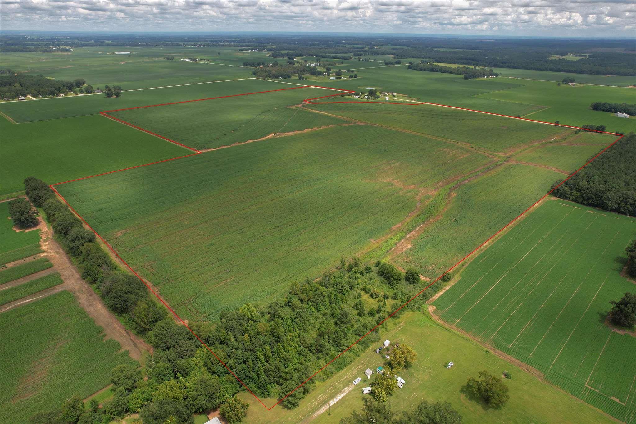 7500 Morton Road Century, FL 32535 - Photo 4 of 26