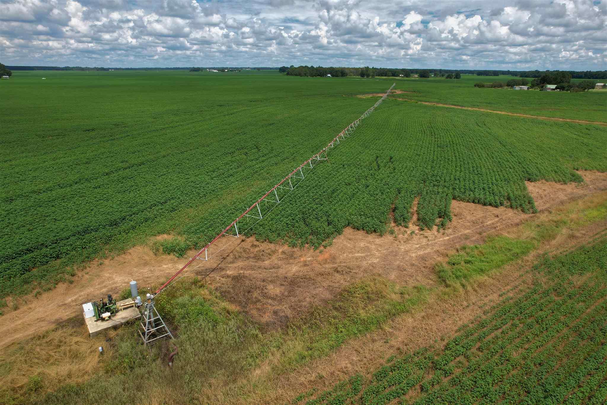 7500 Morton Road Century, FL 32535 - Photo 9 of 26