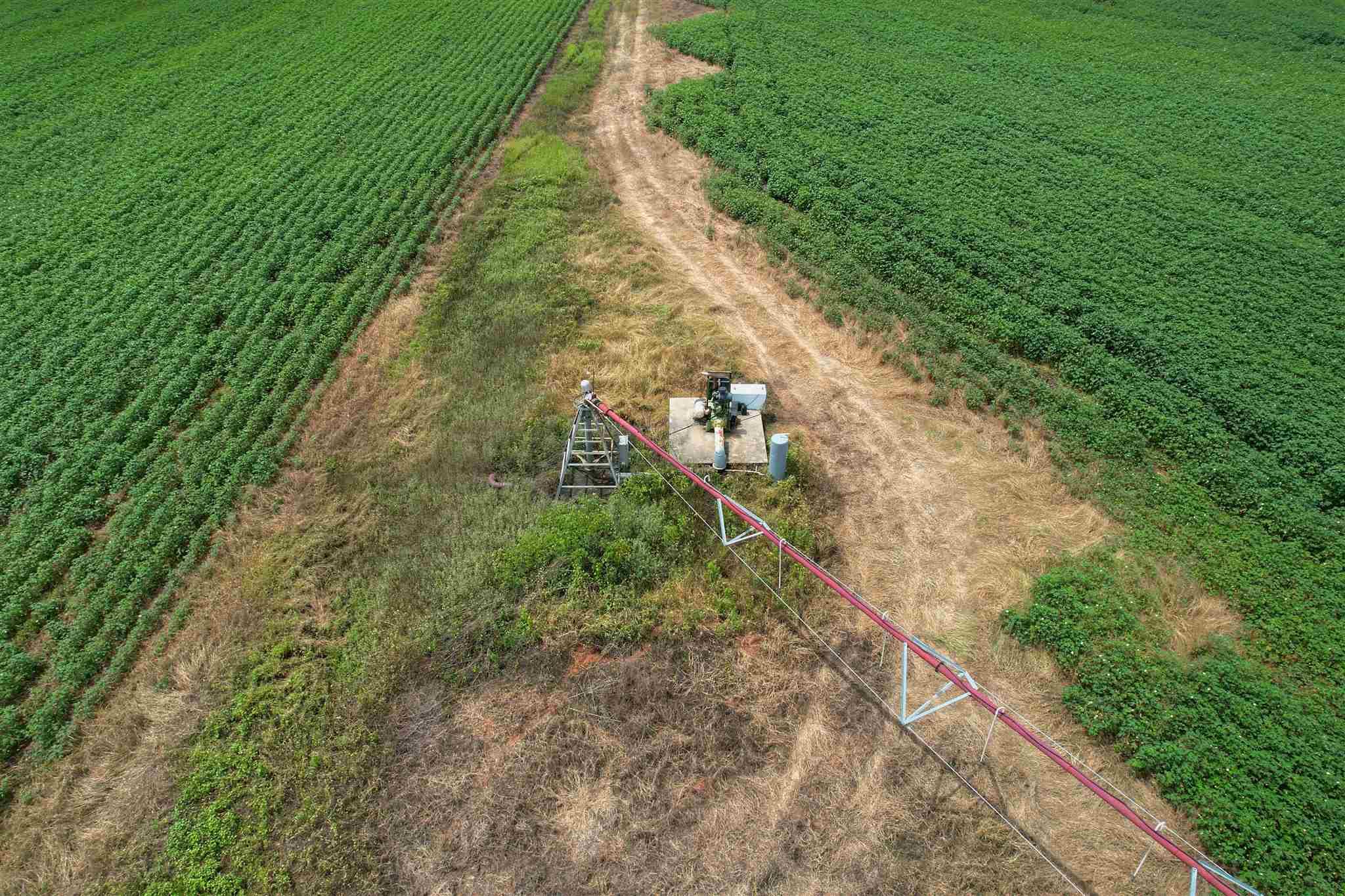 7500 Morton Road Century, FL 32535 - Photo 10 of 26