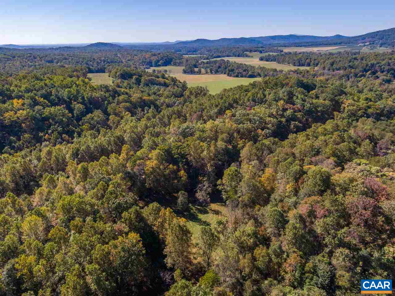 497 Carter Hill Road Roseland, VA 22976 - Photo 34 of 36 Gallery Image 34