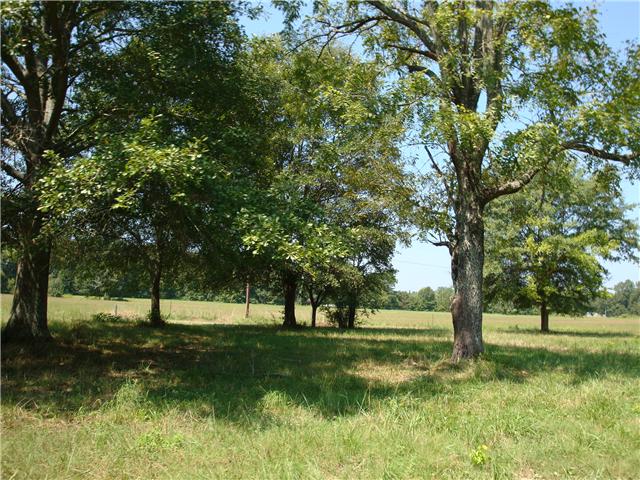 111 Sweet Springs Road Elkmont, AL 35739 - Photo 8 of 10