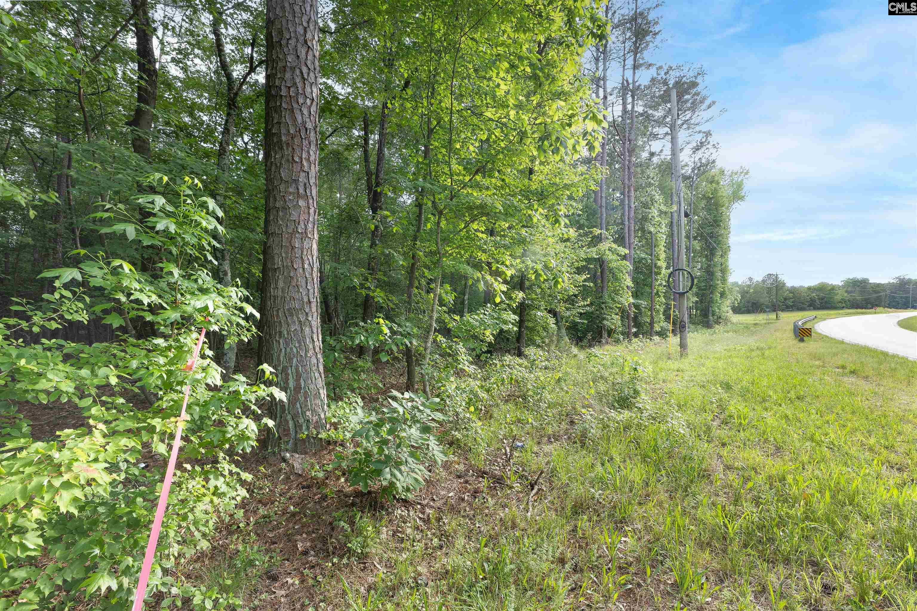 Tbd St Peters Church Road Chapin, SC 29036 - Photo 5 of 7