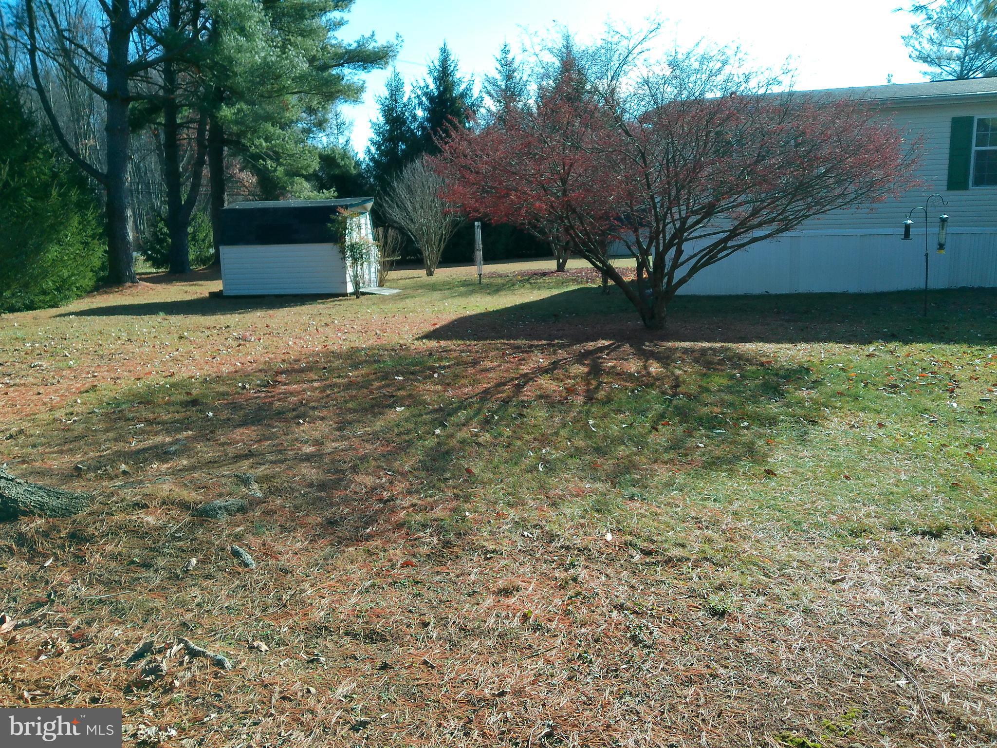 Spacious Lot