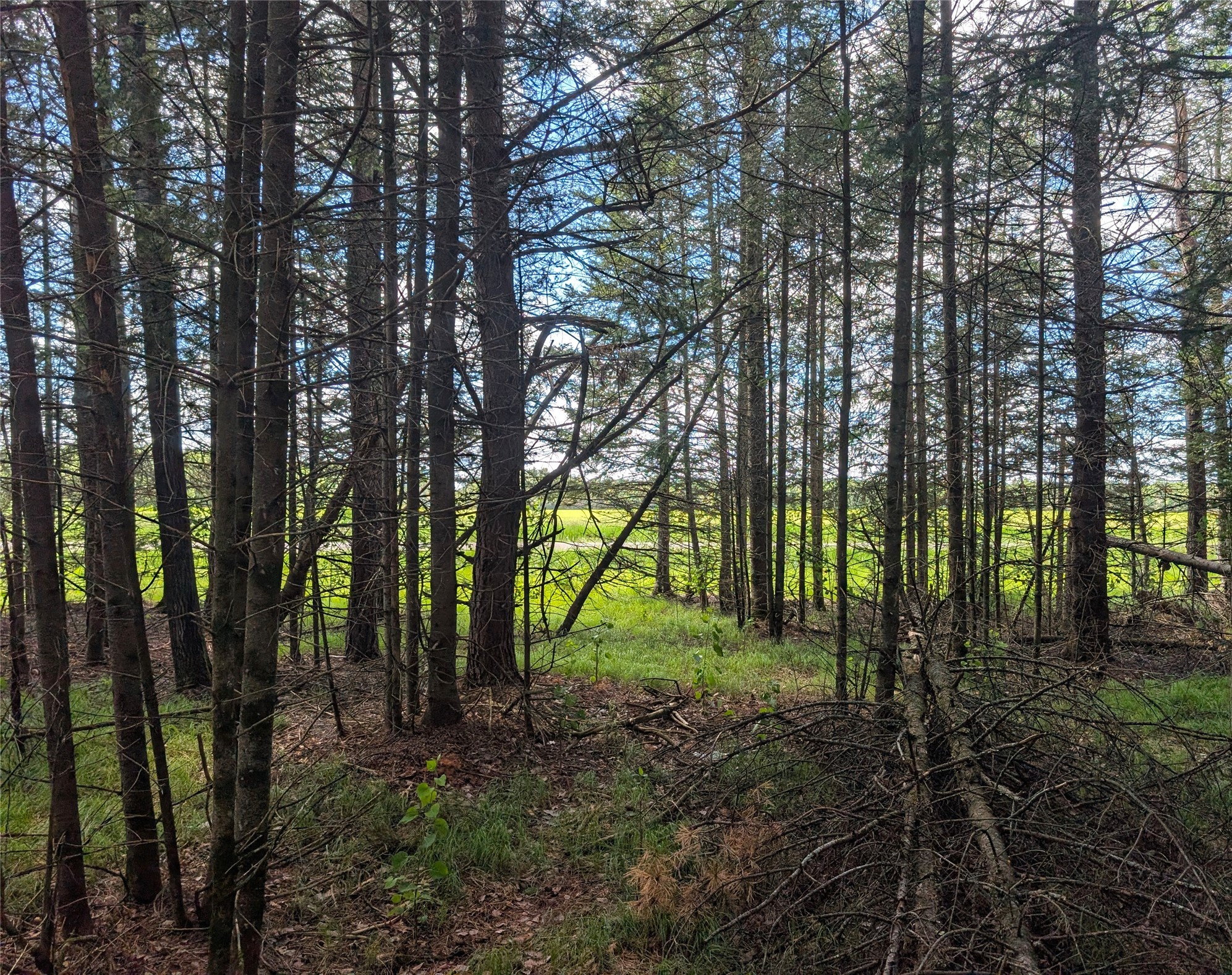 Lot 4 Main Road Minong, WI 54859 - Photo 10 of 19