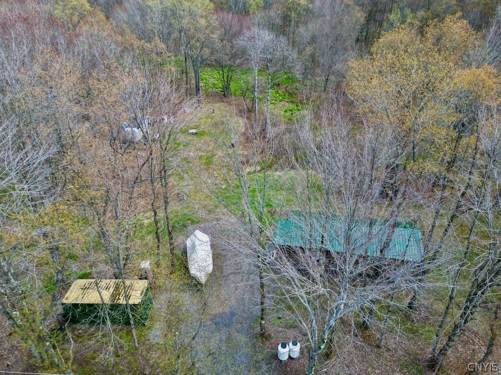 168 Carpenter Road Orwell, NY 13144 - Photo 2 of 43