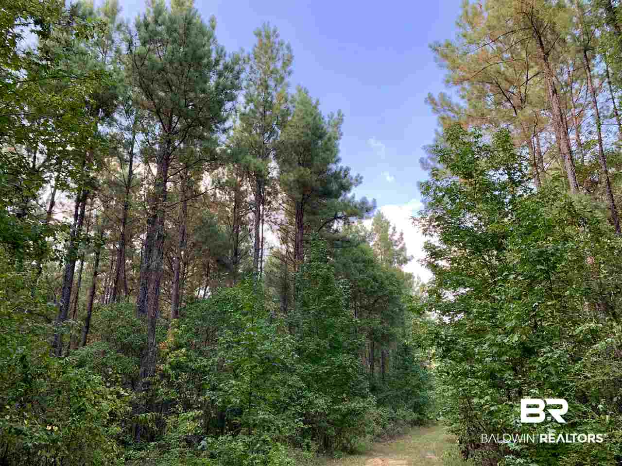 0 Holly Creek Road Stockton, AL 36579 - Photo 39 of 50