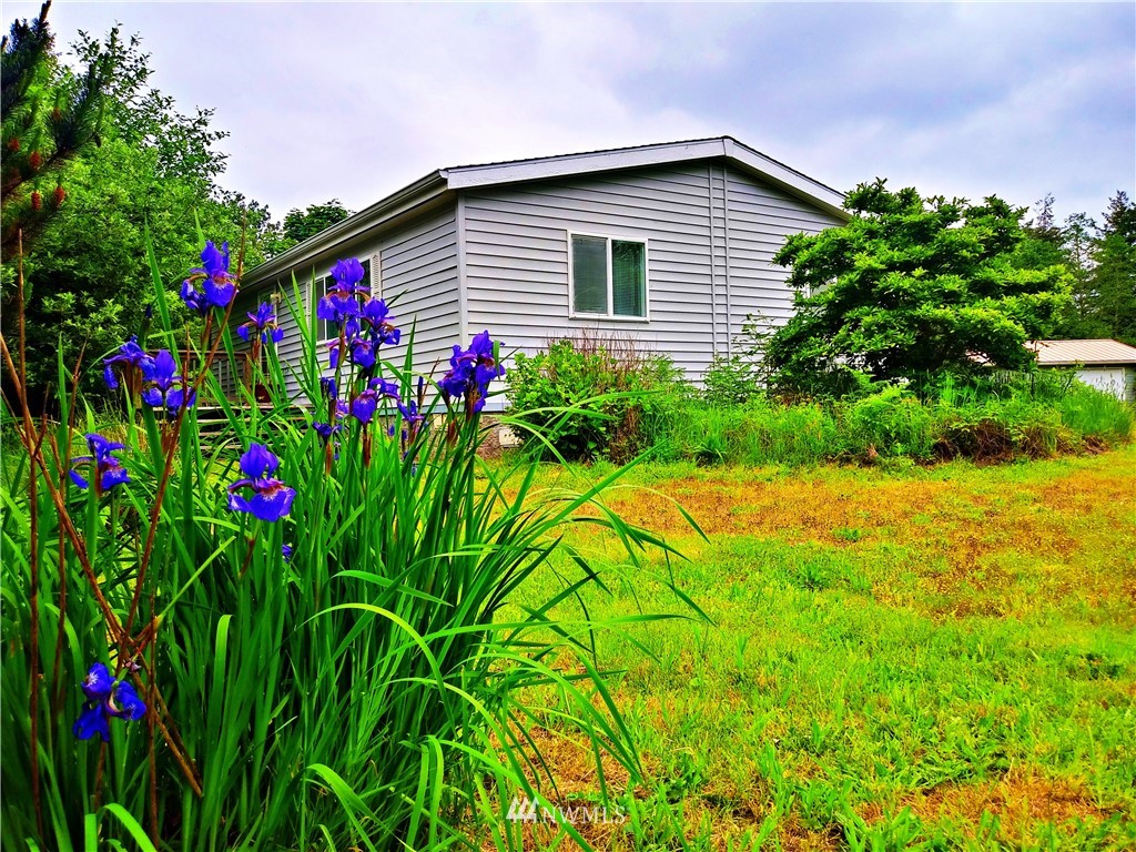 15915 Sandridge Road Long Beach, WA 98631 - Photo 3 of 20 Gallery Image 3