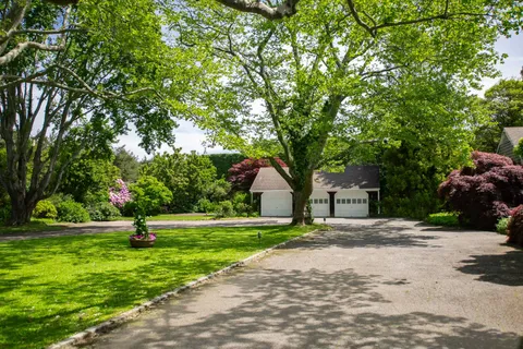 a park with large trees