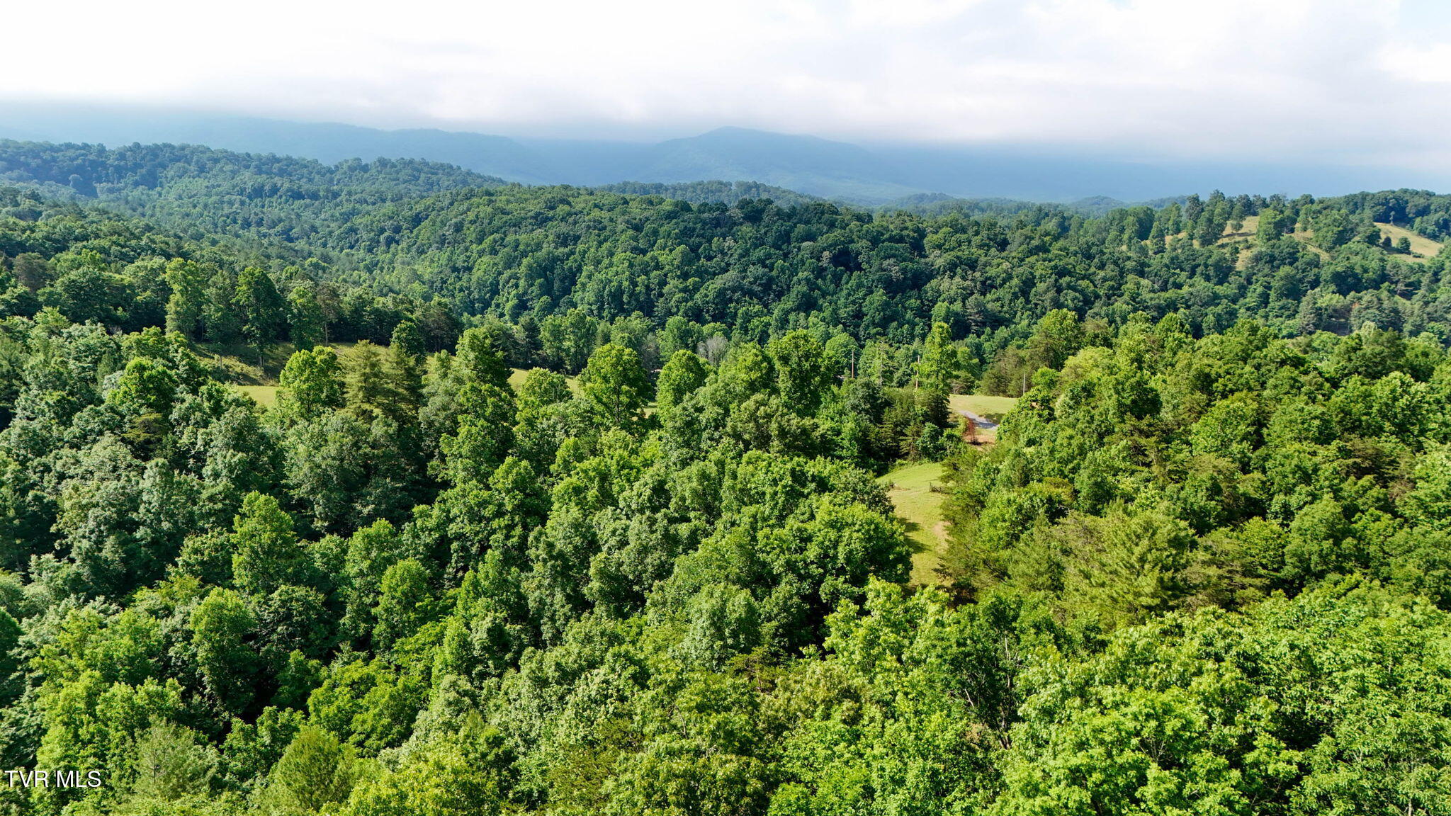 2523 Denton Valley Road, Unit 2 Bristol, TN 37620 - Photo 14 of 44 14