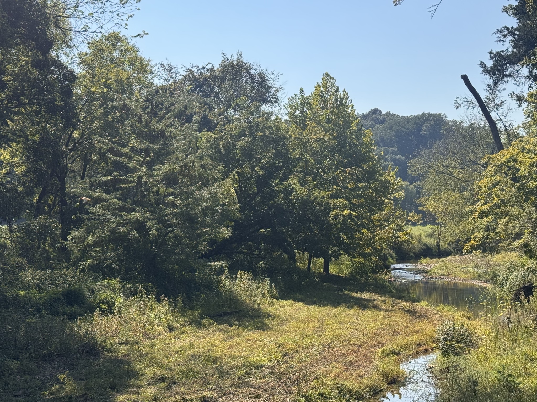 0 Upper Standing Rock Road Dover, TN 37058 - Photo 30 of 32 Gallery Image 30