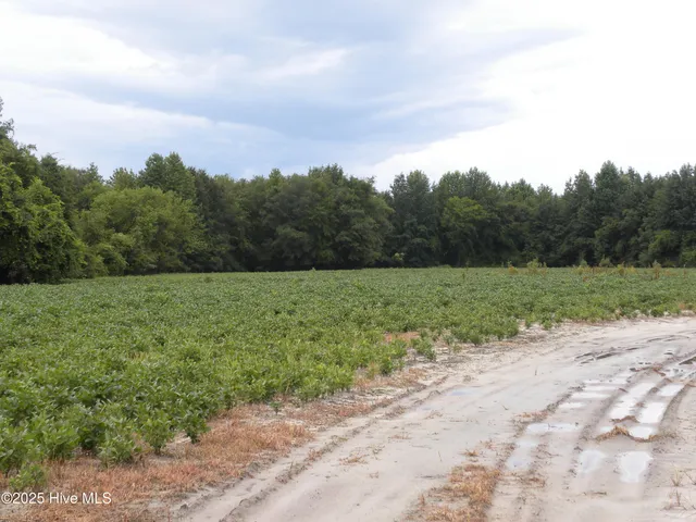 $900,000 | Tbd Conetoe Road, Greenville, NC 27834