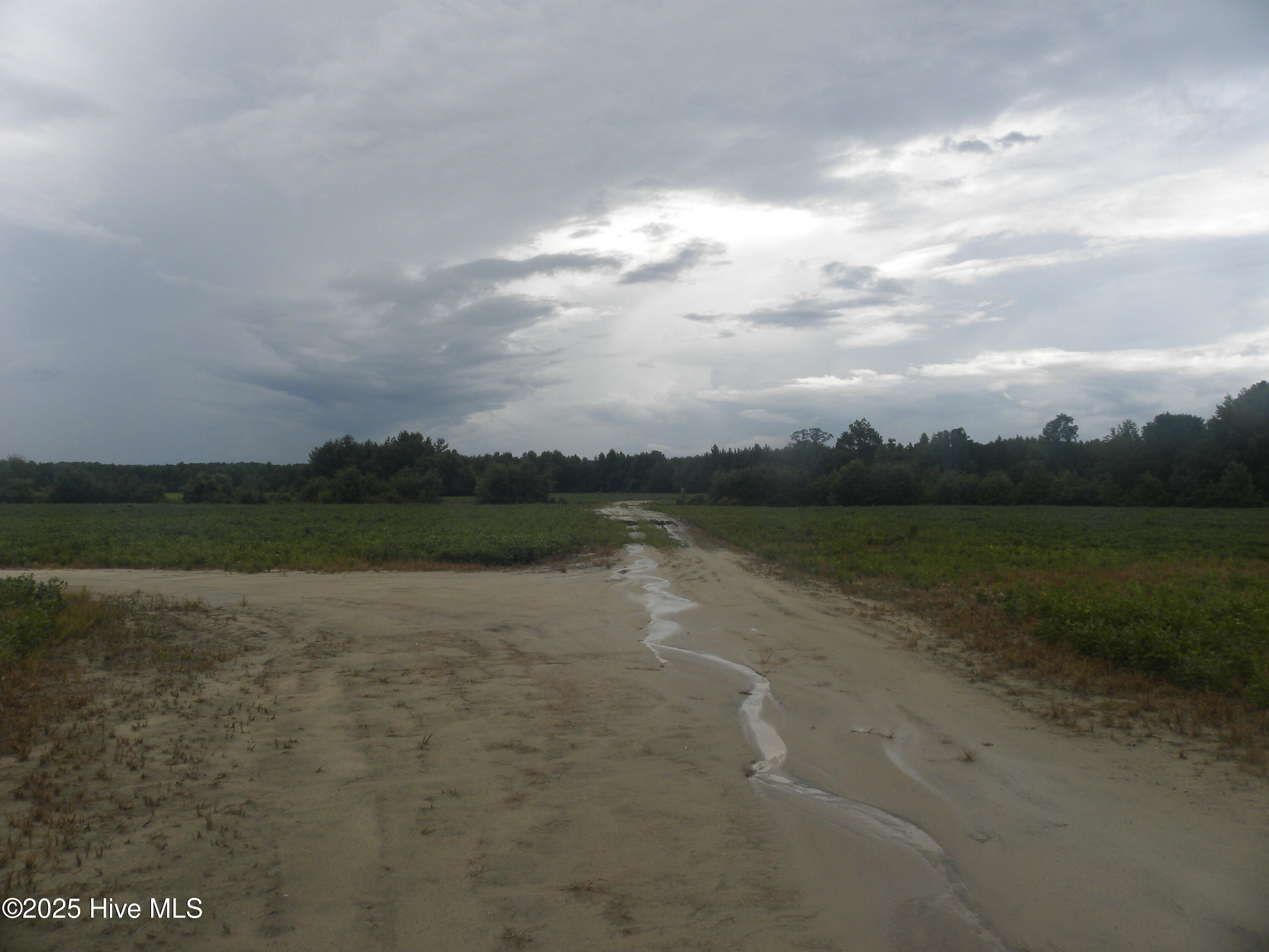 Tbd Conetoe Road Greenville, NC 27834 - Photo 2 of 11 DSCN3487