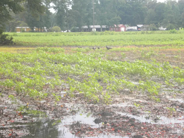 $900,000 | Tbd Conetoe Road, Greenville, NC 27834