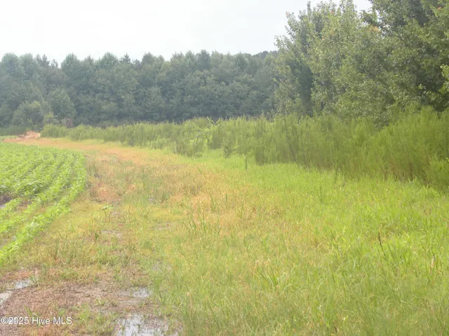 $900,000 | Tbd Conetoe Road, Greenville, NC 27834