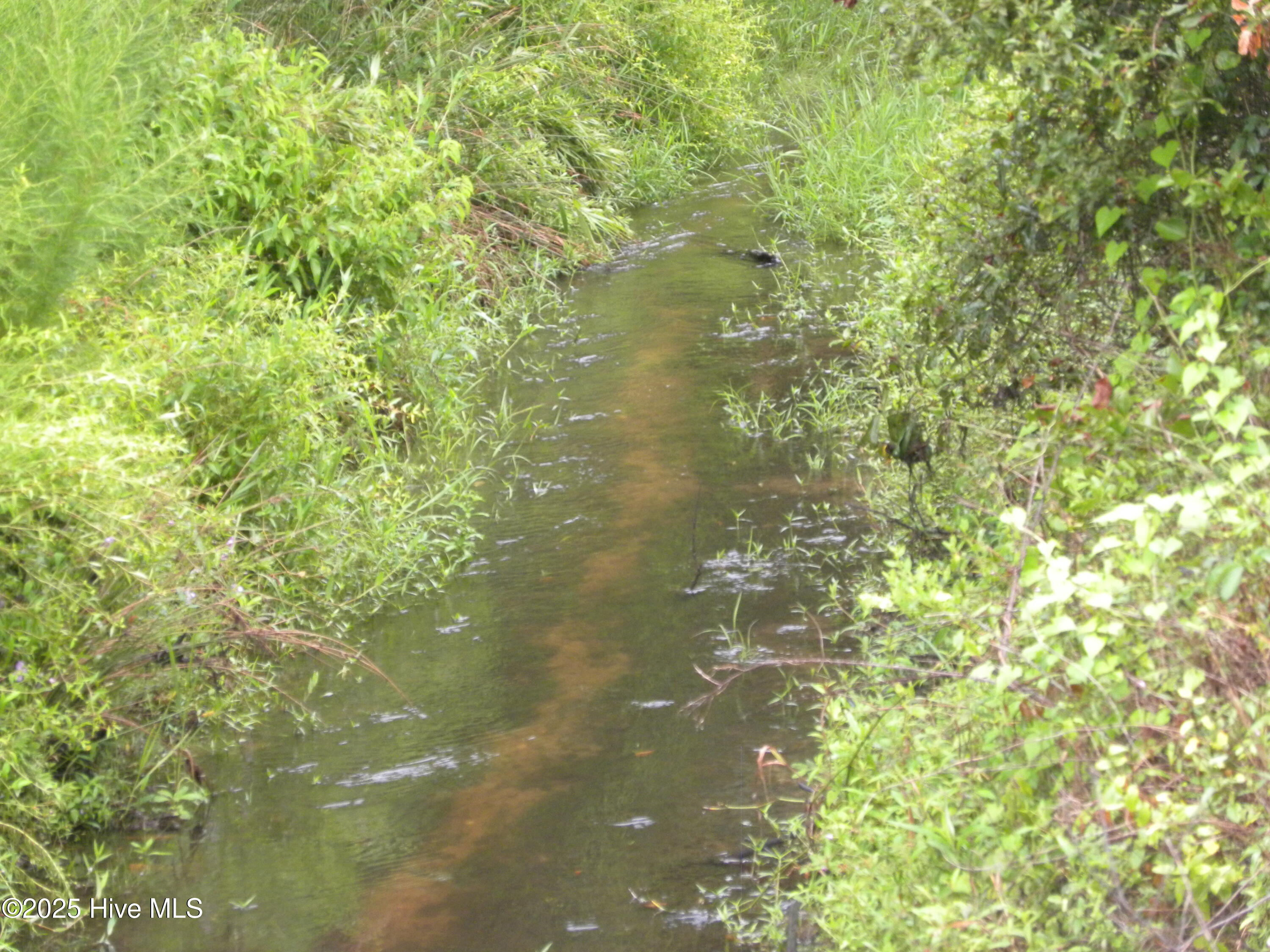 Tbd Conetoe Road Greenville, NC 27834 - Photo 9 of 11 DSCN3494