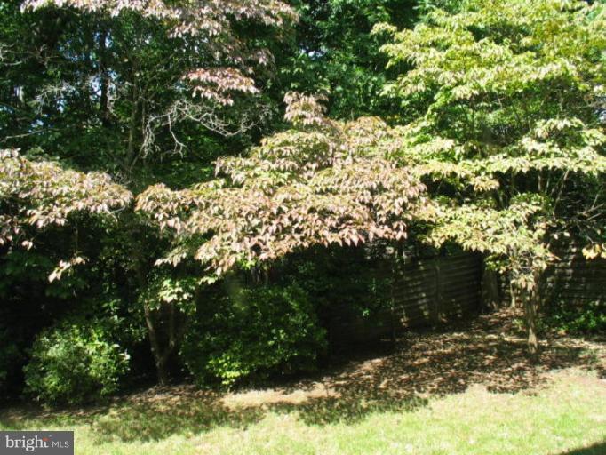 6310 Redwing Road Bethesda, MD 20817 - Photo 4 of 10 A great place to relax or play outside!