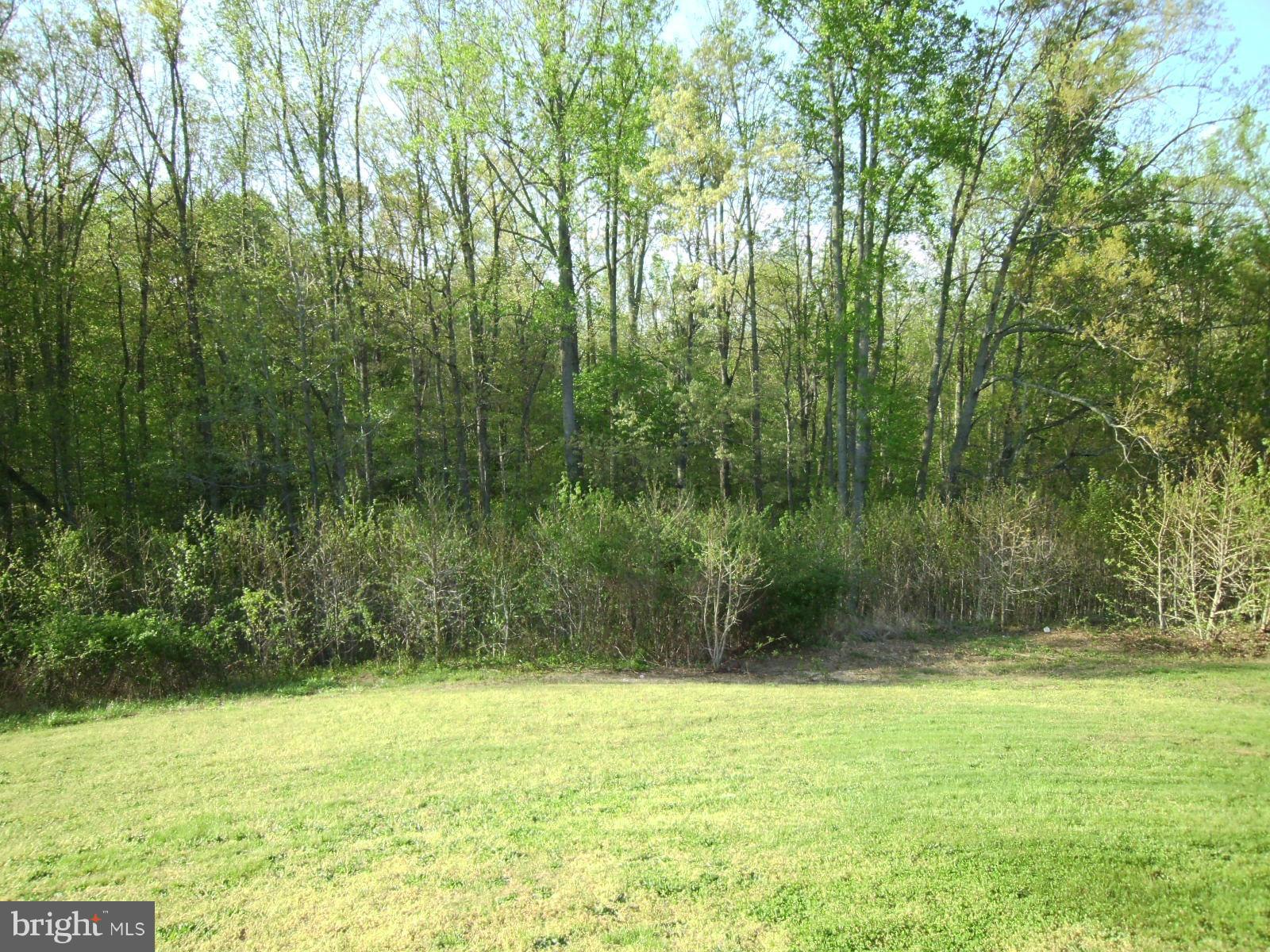 1777 Courthouse Road Stafford, VA 22554 - Photo 11 of 16 Exterior (General)