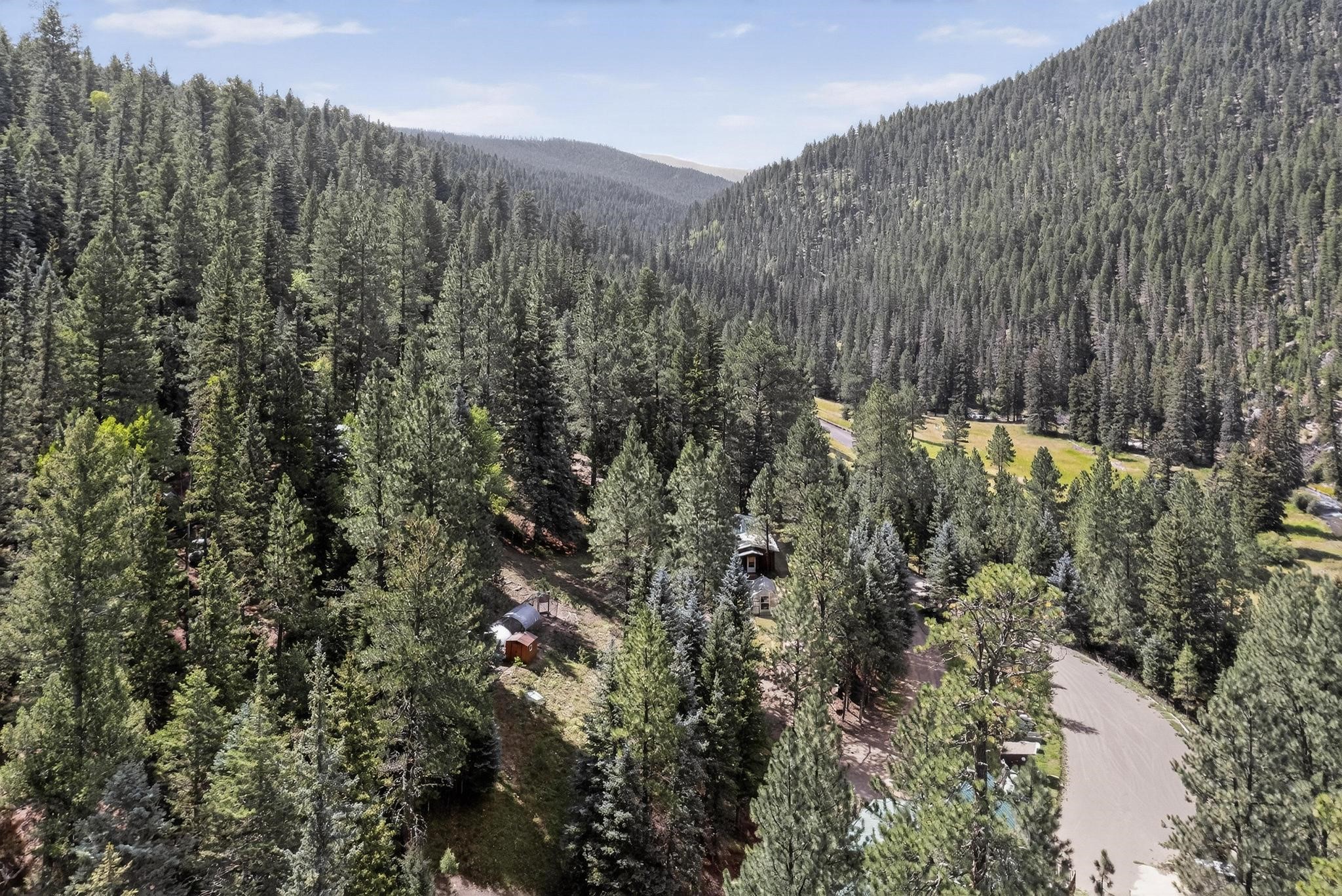 2444 Highway 63 Tererro, NM 87573 - Photo 48 of 98