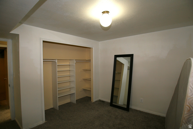 1612 East 450 South Springville, UT 84663 - Photo 40 of 48 Spacious closet with built-in shelving and hanging rods