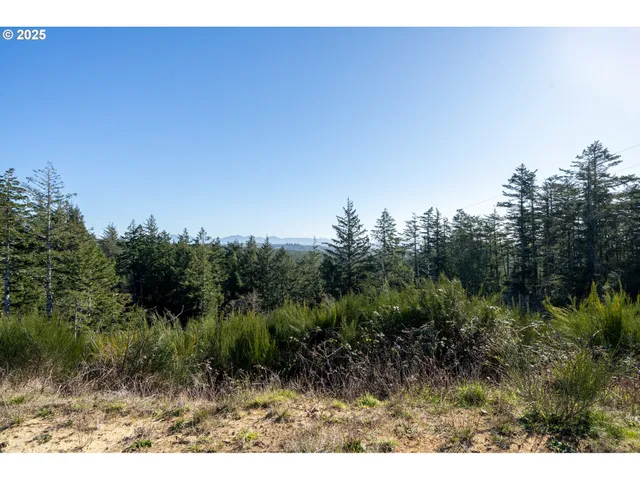 $90,000 | Ava-lot 9th Place, Tillamook, OR 97141
