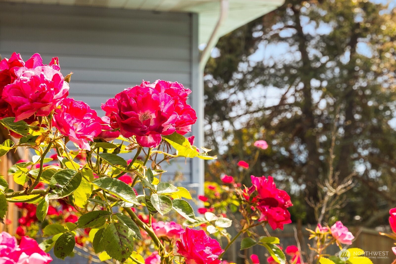 8132 208th Place Southwest Edmonds, WA 98026 - Photo 31 of 40