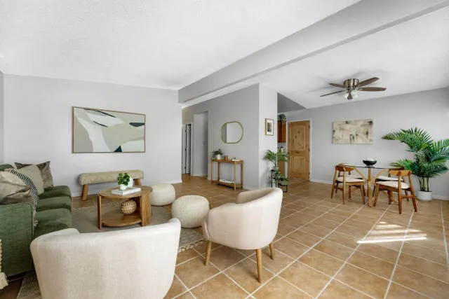 a living room with furniture a dining table and a potted plant
