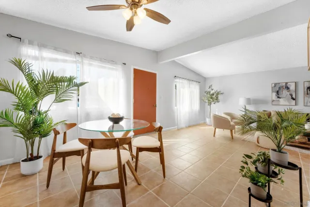 a living room with furniture and a potted plant