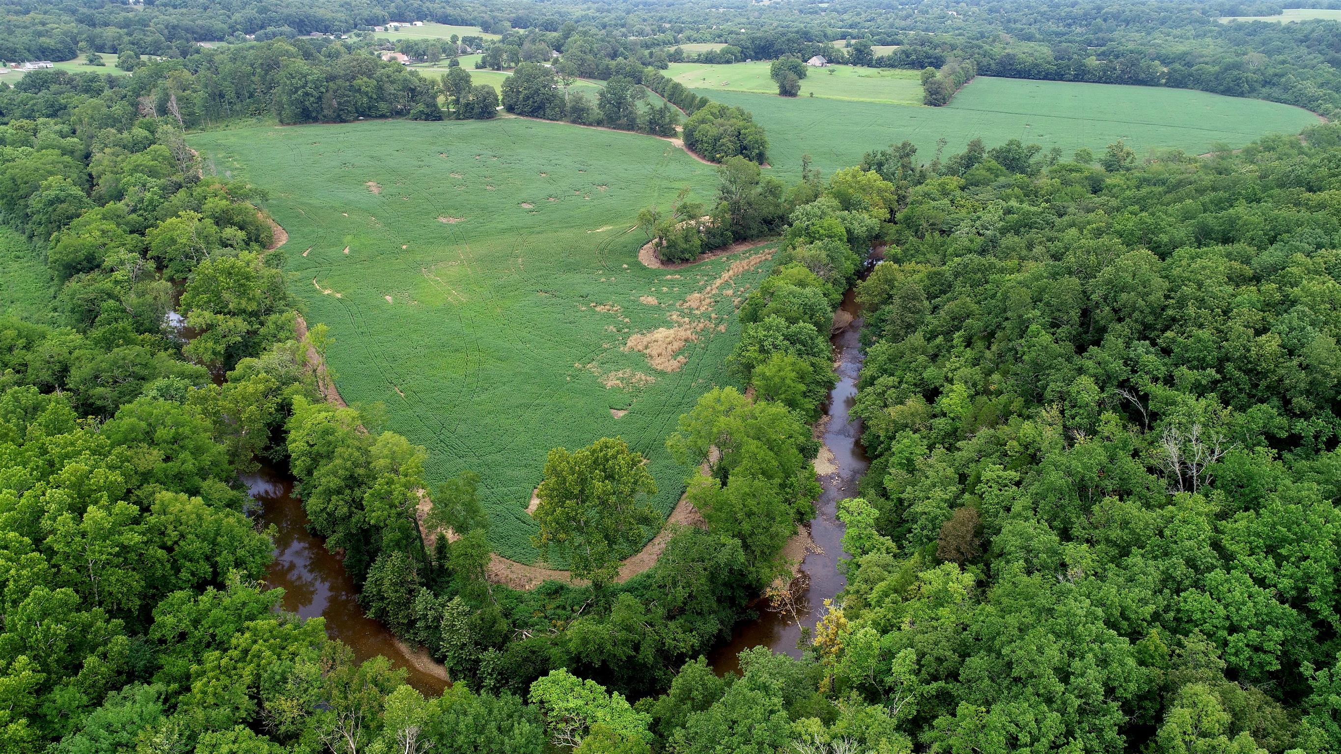 0 Seavy Hight Road Columbia, TN 38401 - Photo 1 of 30 Stunning 81.66 acres located between Columbia and I65 in the Culleoka community