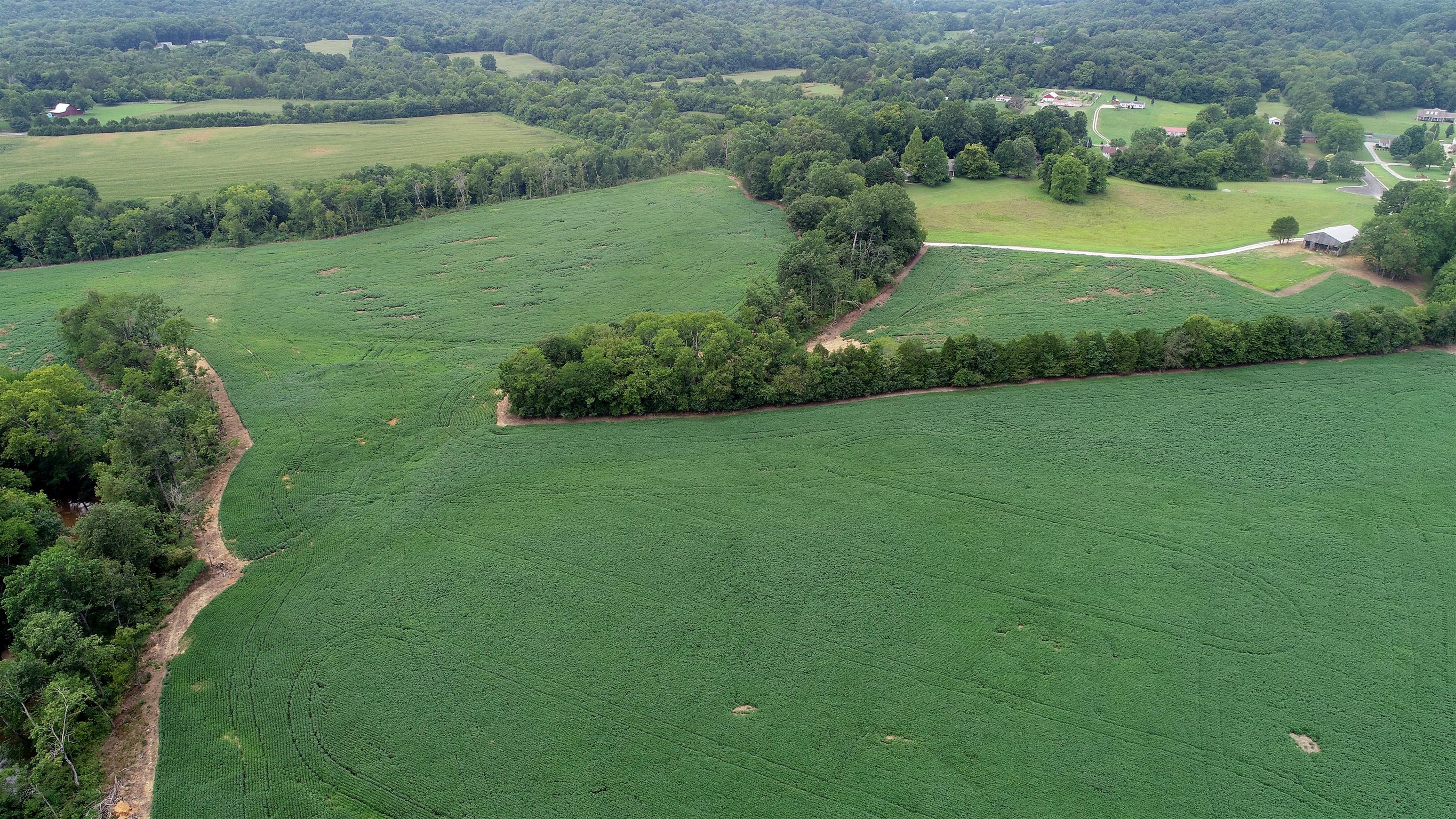 0 Seavy Hight Road Columbia, TN 38401 - Photo 14 of 30 How beautiful is this?