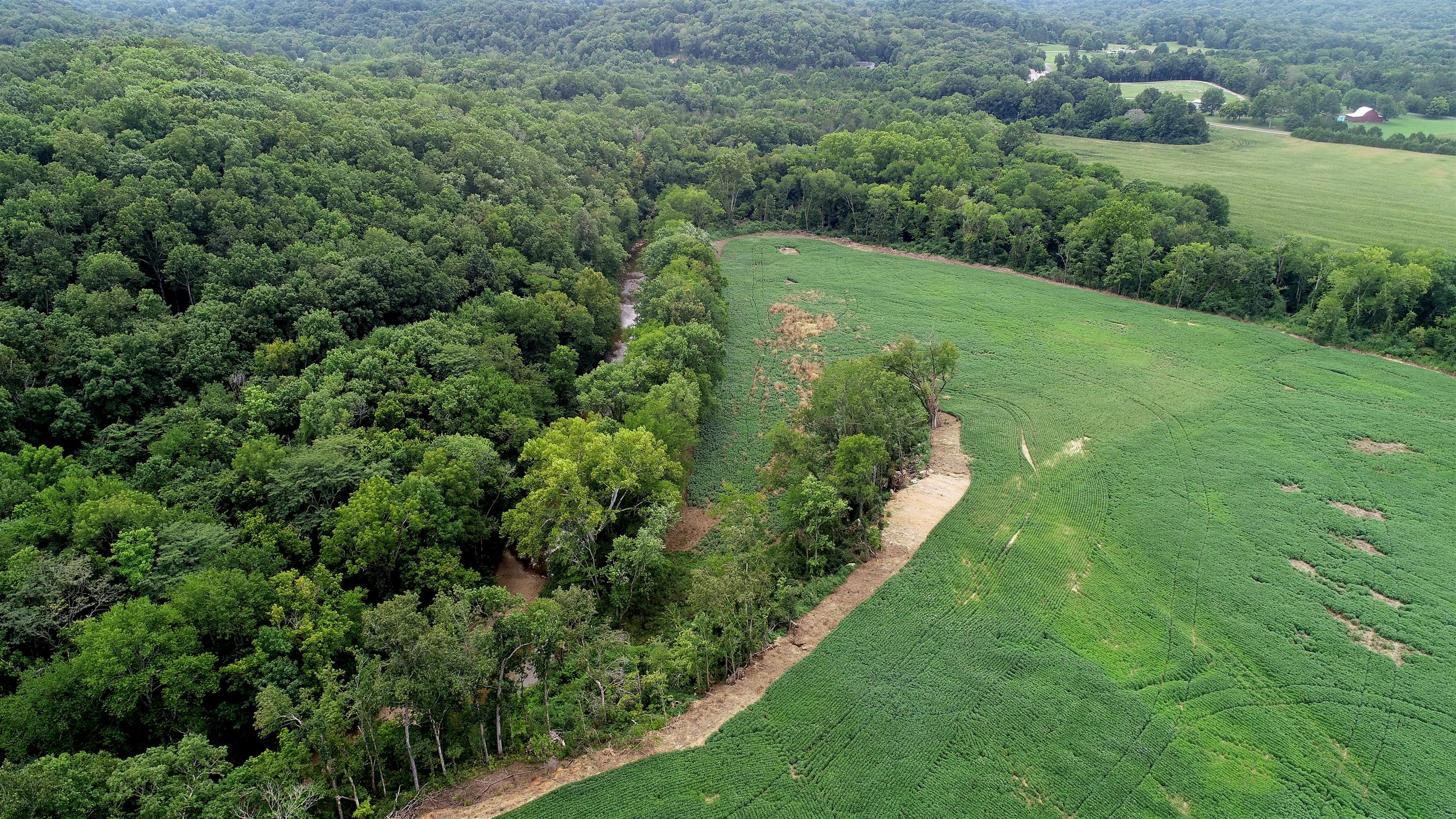 0 Seavy Hight Road Columbia, TN 38401 - Photo 15 of 30 Gallery Image 15