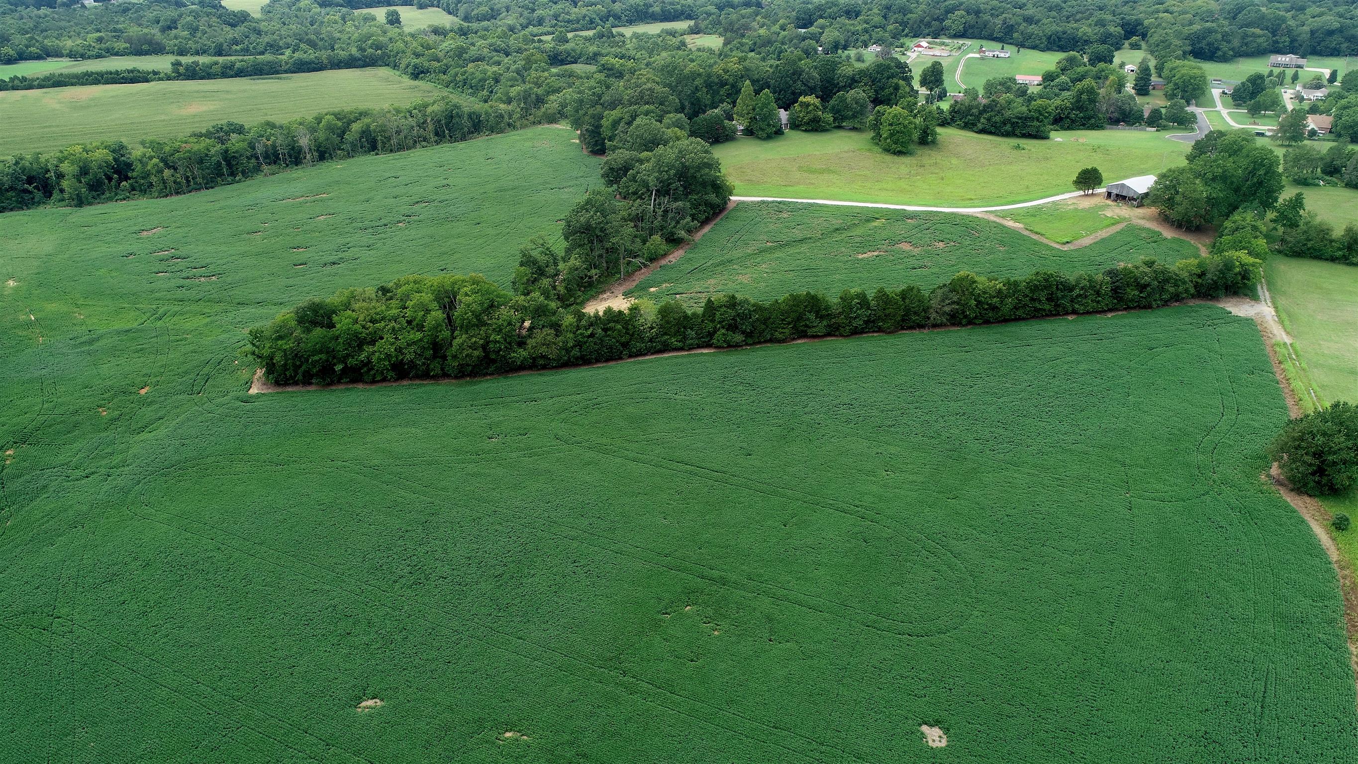 0 Seavy Hight Road Columbia, TN 38401 - Photo 18 of 30 Gallery Image 18