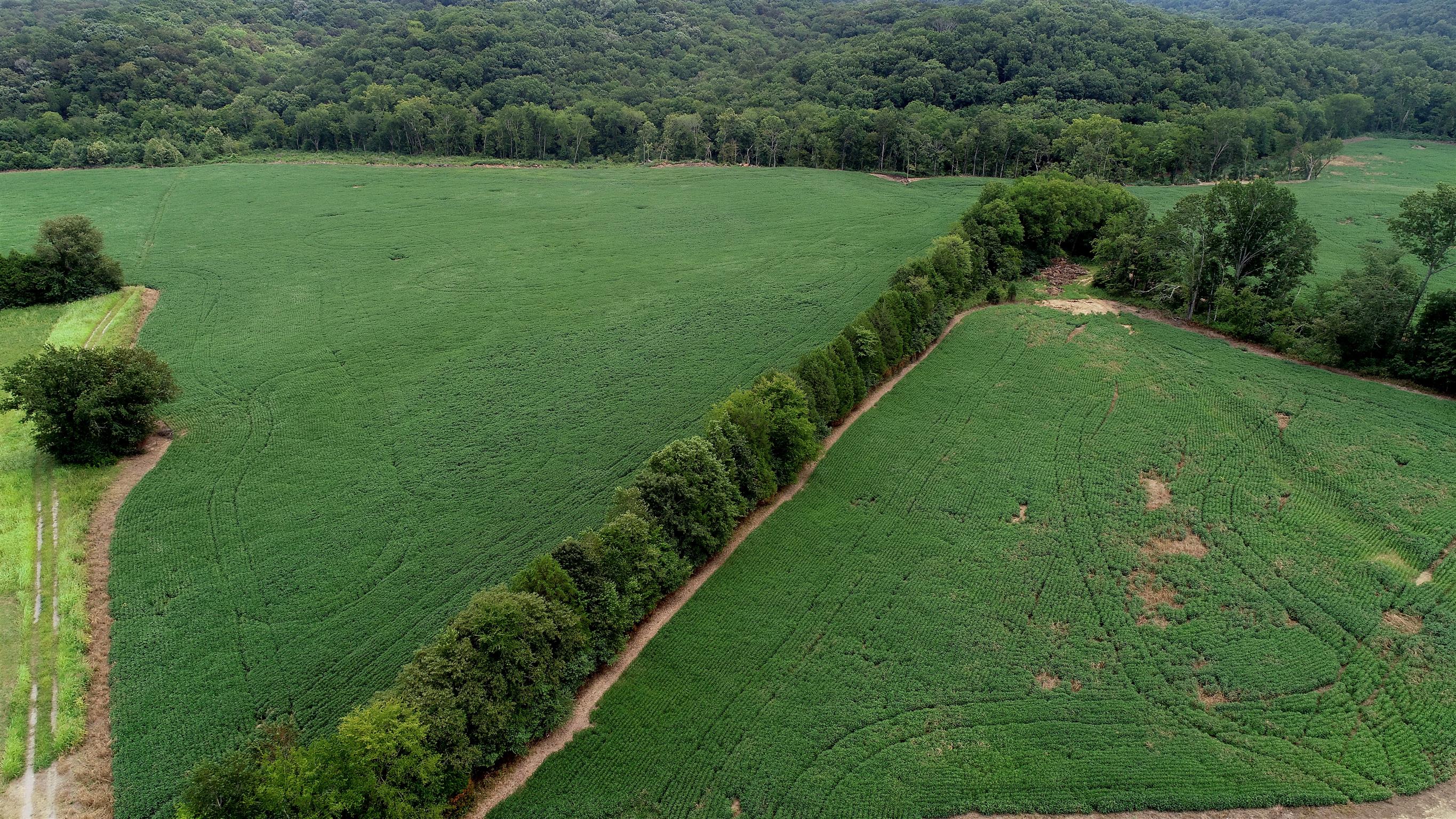 0 Seavy Hight Road Columbia, TN 38401 - Photo 22 of 30 Gallery Image 22