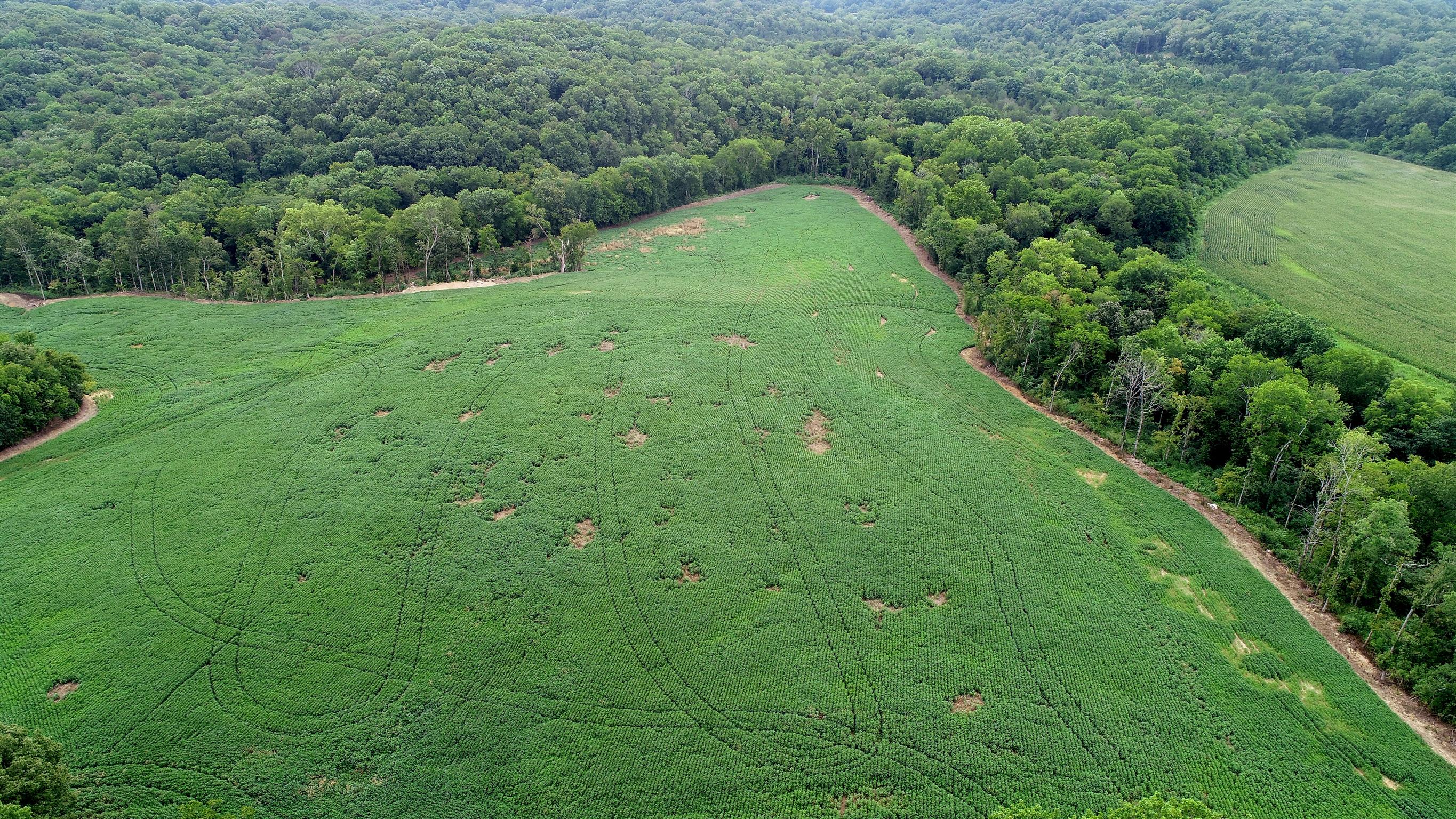 0 Seavy Hight Road Columbia, TN 38401 - Photo 3 of 30 Gallery Image 3