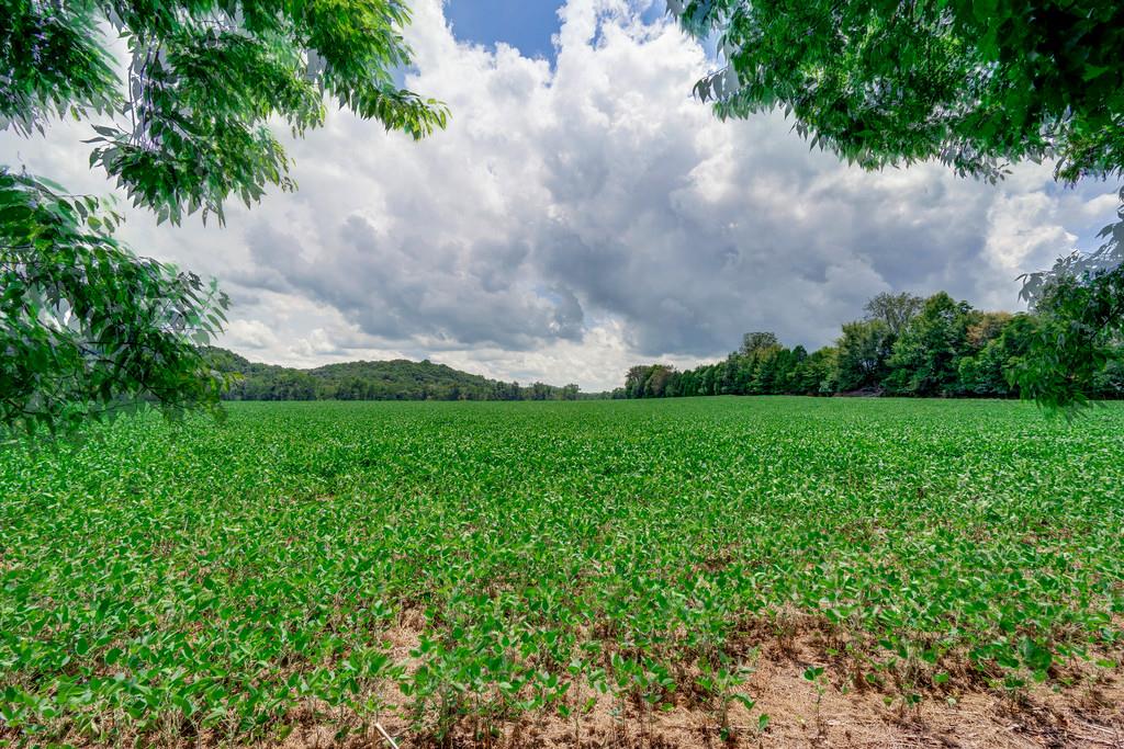 0 Seavy Hight Road Columbia, TN 38401 - Photo 10 of 30 Gallery Image 10