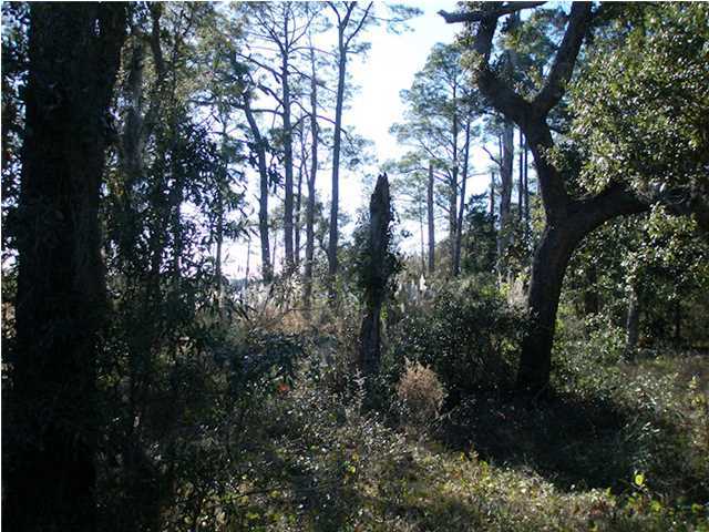 3047 Holley Point Road Navarre, FL 32566 - Photo 4 of 7 Additional Photo