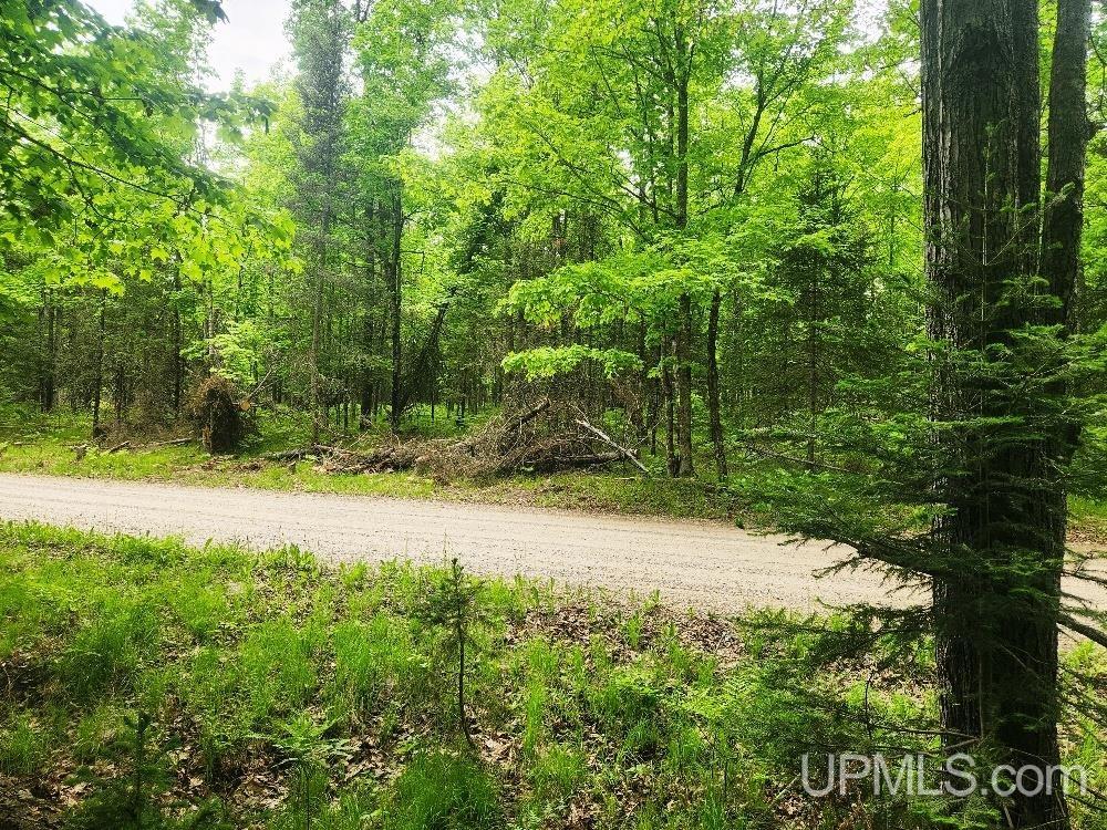 Lot 5 Wilderness Way Road Crystal Falls, MI 49920 - Photo 15 of 25
