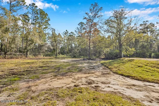 a view of a yard with large trees