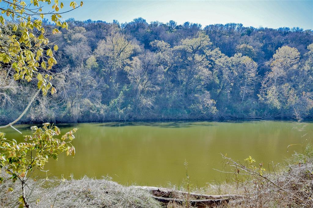 9110 Ravenswood Road Granbury, TX 76049 - Photo 37 of 40 Enjoy riverfront access from your property