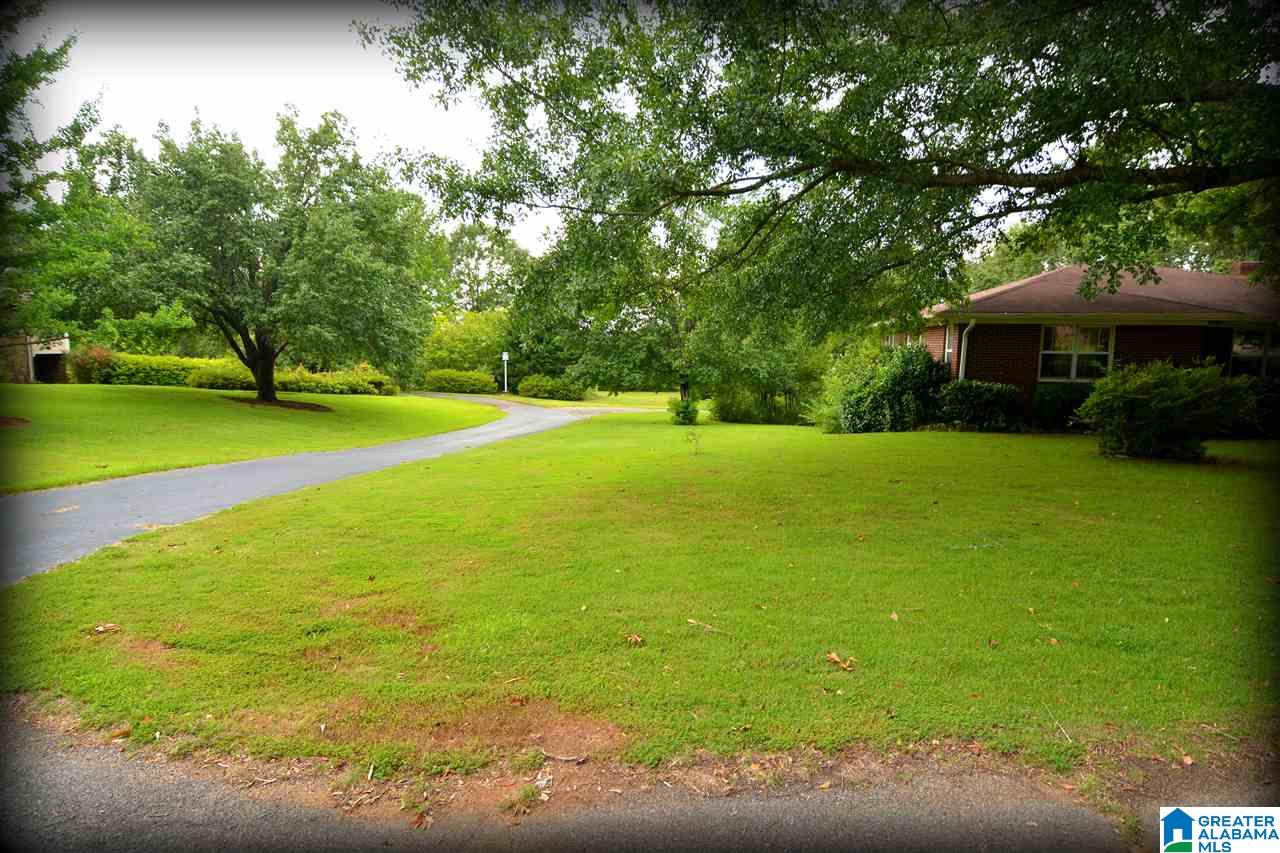 128 Rabbit Branch Road Cropwell, AL 35054 - Photo 3 of 50