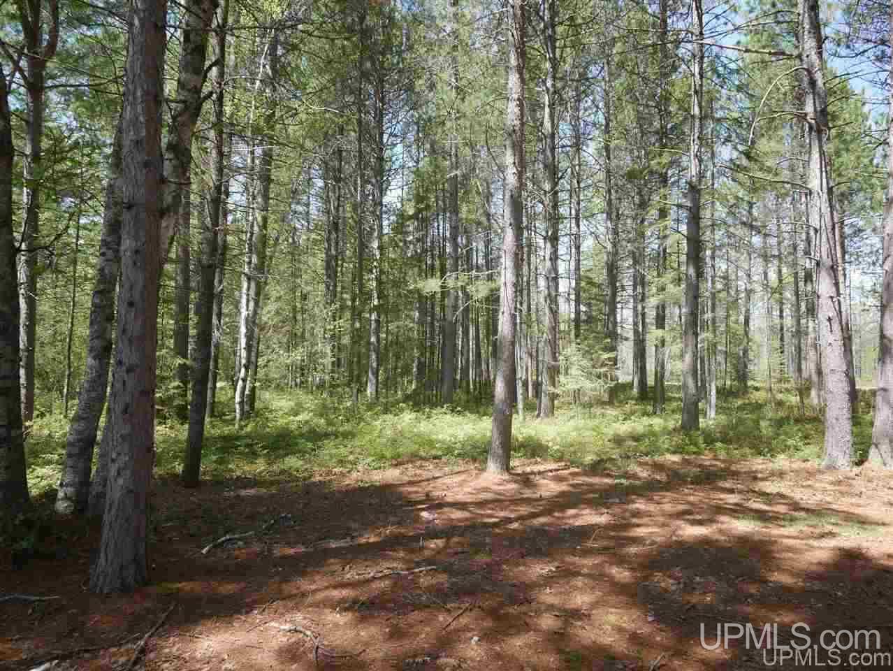 33985 Rice Landing Rd Lake Lake Linden, MI 49945 - Photo 20 of 30