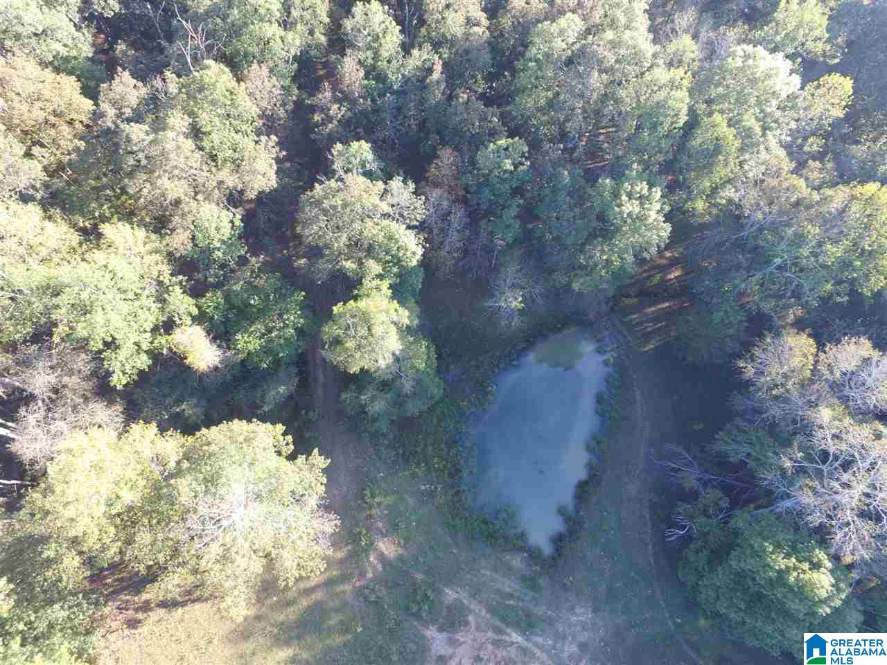936 Daileys Chapel Road Oneonta, AL 35121 - Photo 36 of 36